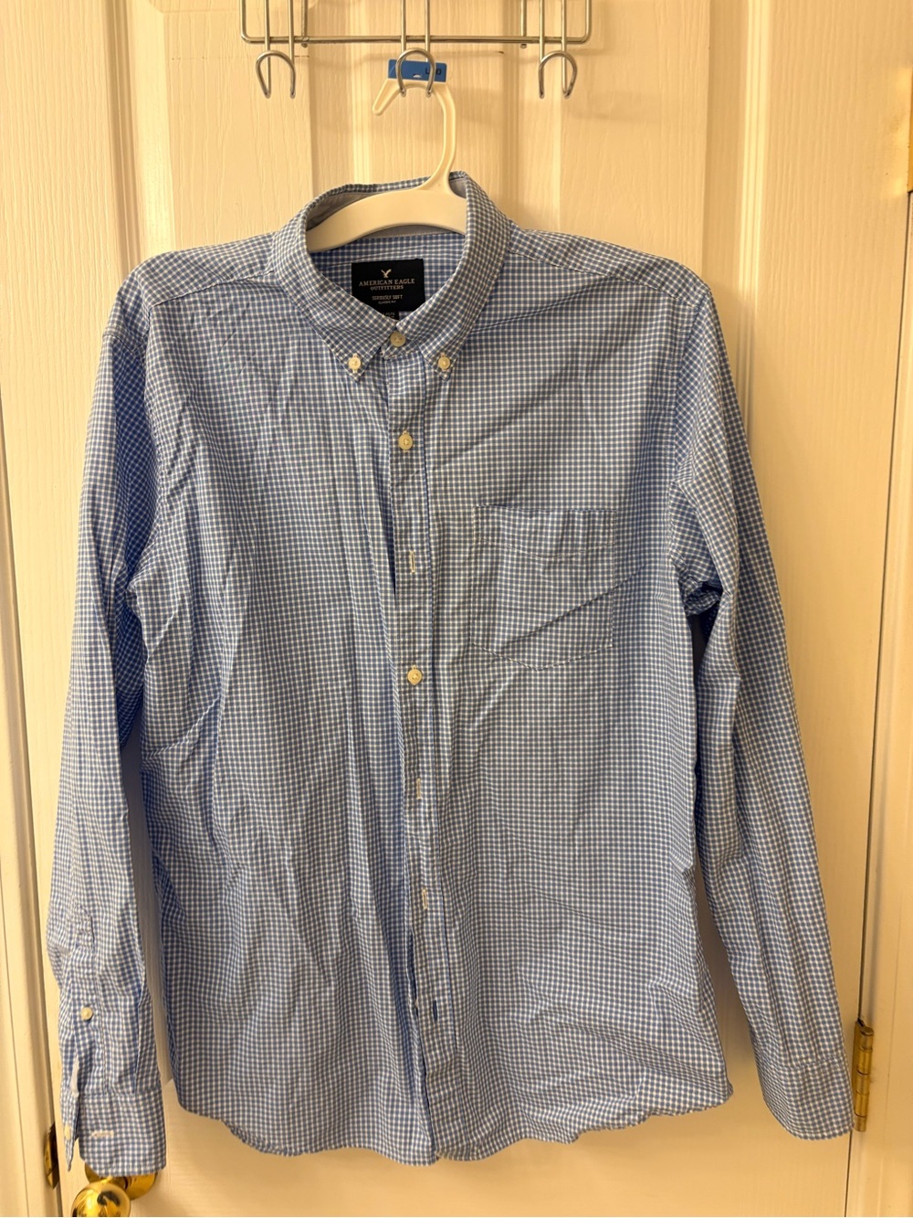 American Eagle Outfitters Light Blue Micro-Check Button-Down Shirt - Men
